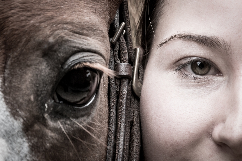 Girl's and Horse's Eyes