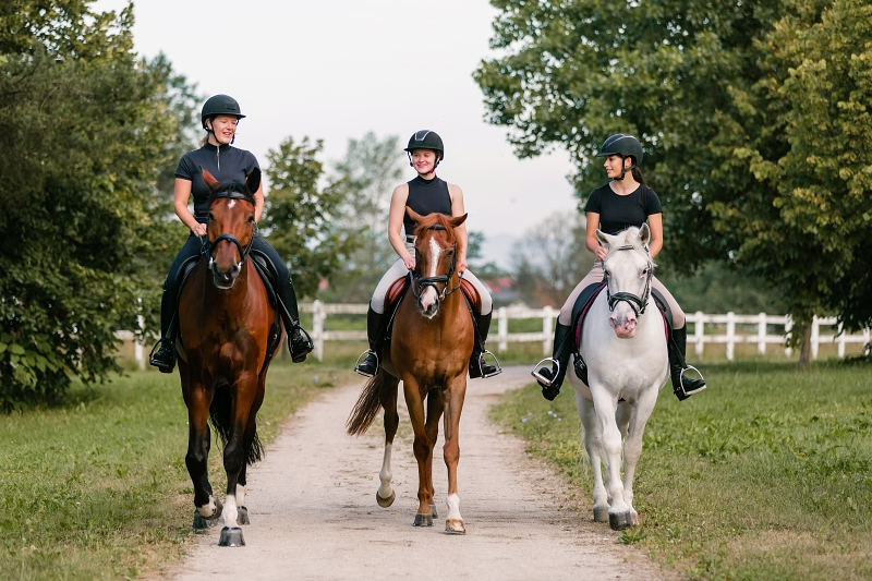 Three female riders riding horses along the trail. Recreation and leisure activity concepts.