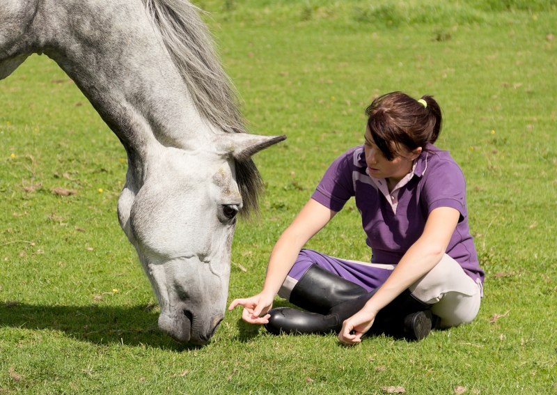 Pretty girl sits quietly in field and waits while her nervous horse comes to her to sniff her outstreched finger.