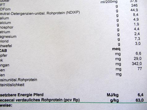 eiweiss ueberversorgung