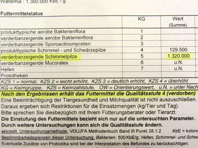 heuanalyse5