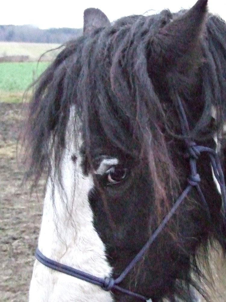 sorgenfalten ueber den augen