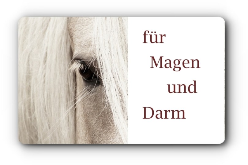 Nerven-Verdauung.jpg