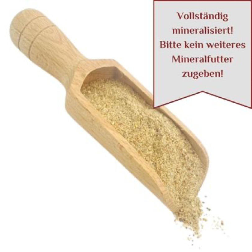 Kompakt-1.png