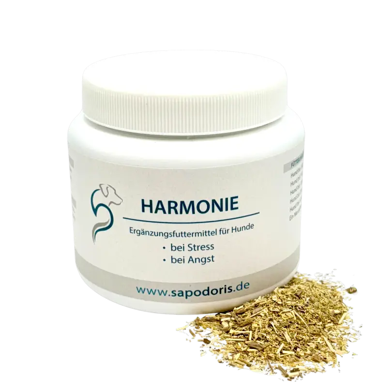 Harmonie Hunde