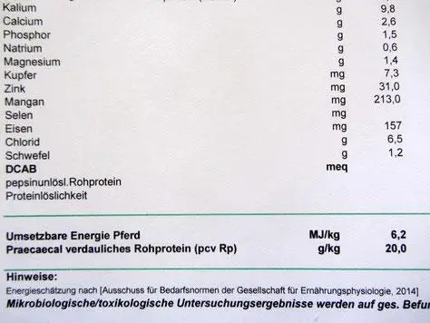eiweiss unterversorgung